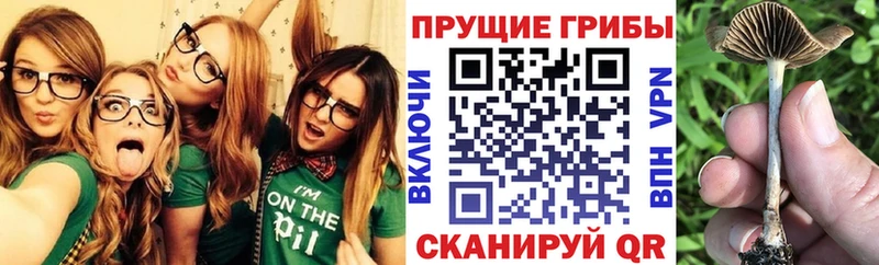 Псилоцибиновые грибы MAGIC MUSHROOMS Тында