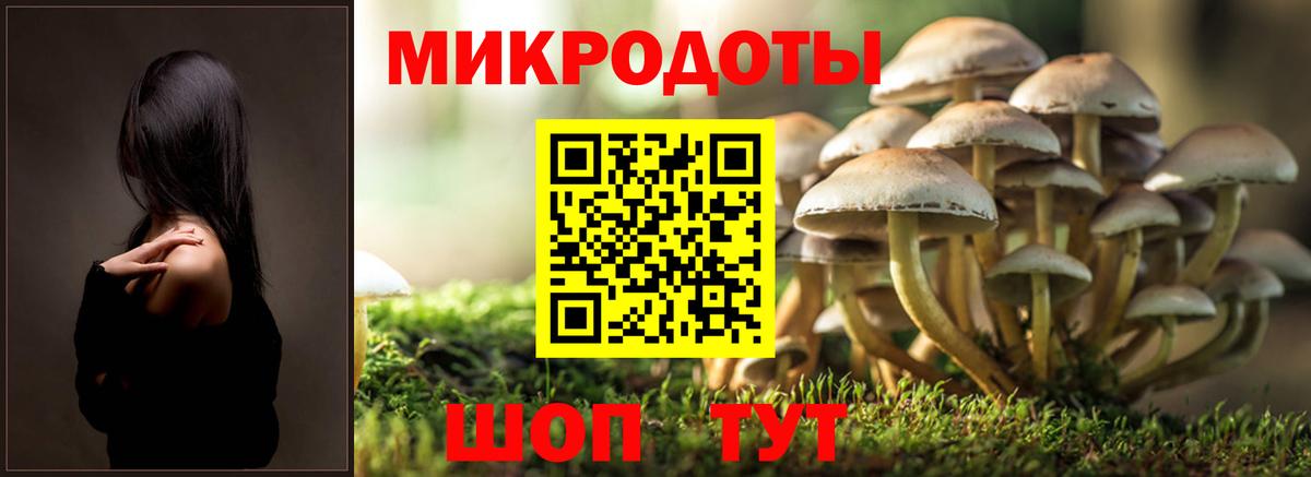 Псилоцибиновые грибы прущие грибы Тында